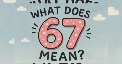 What Does 67 Mean? The Real Meaning Behind the Number 67 Explained